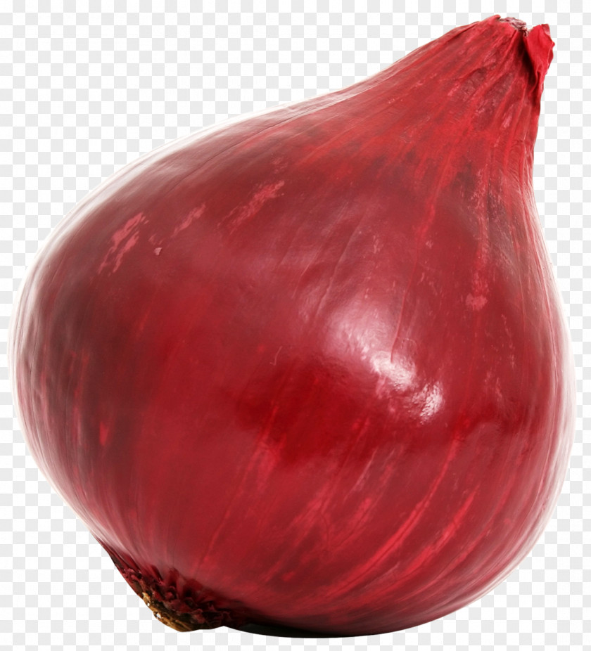 Red Onion Bulb Vegetable PNG