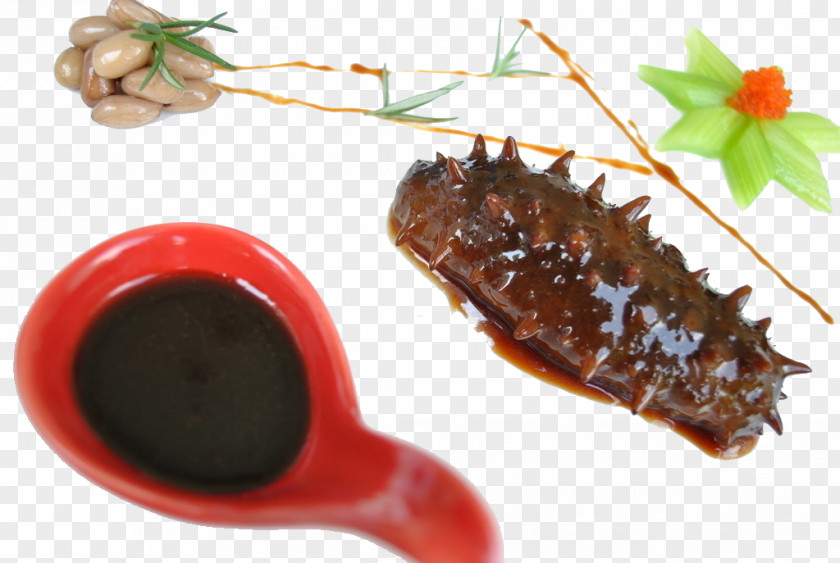 Sea Cucumber Food Pseudocolochirus Dish Eating PNG