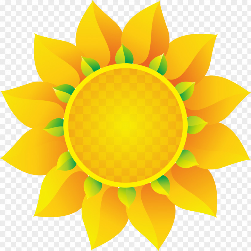 Sunflower Euclidean Vector PNG