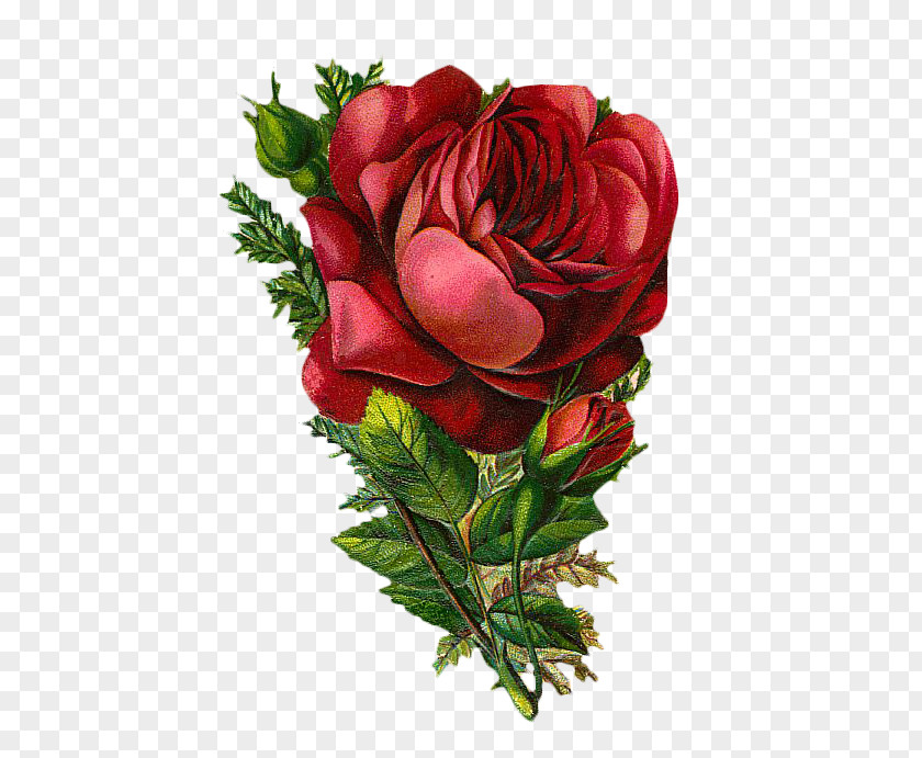 Vintage Flowers Rose Clip Art PNG