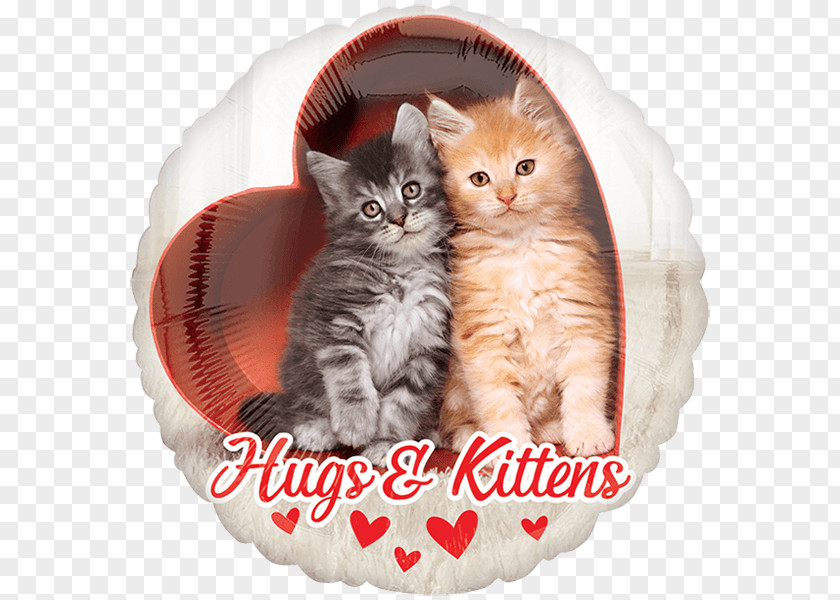 Cat Kitten Valentine's Day Balloon Felidae PNG