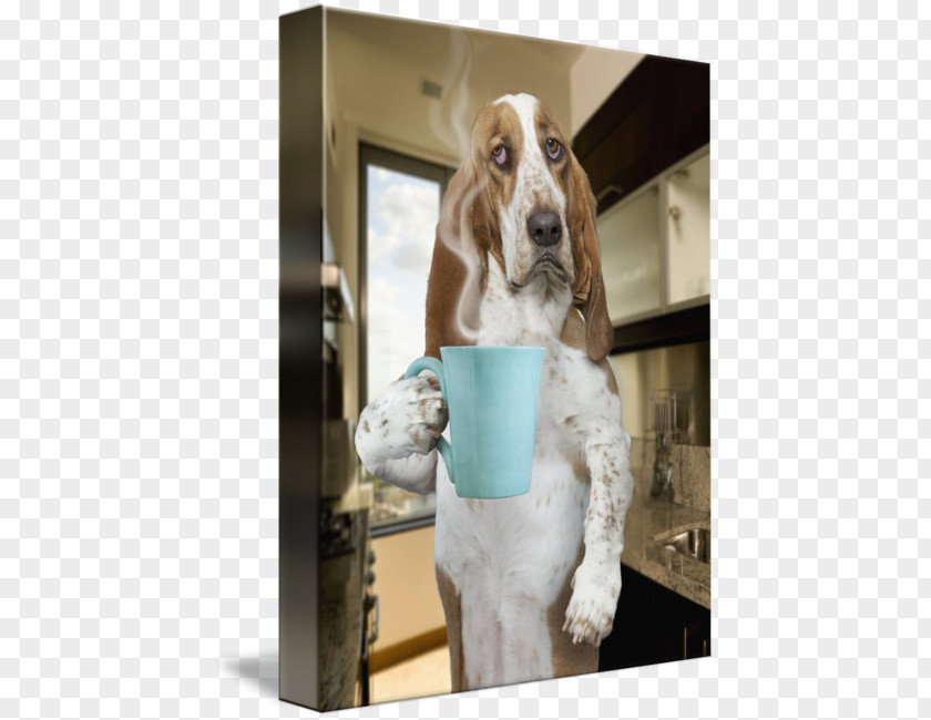 Morning Coffee Basset Hound American Foxhound Treeing Walker Coonhound Dog Breed Puppy PNG