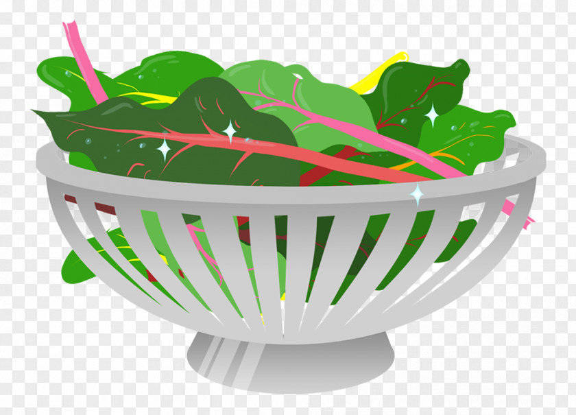 Salad Bean Lettuce Leaf Vegetable PNG