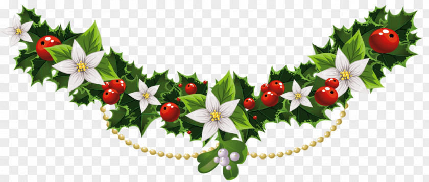 Transparent Christmas Mistletoe Garland With Flowers Clipart Common Holly Clip Art PNG