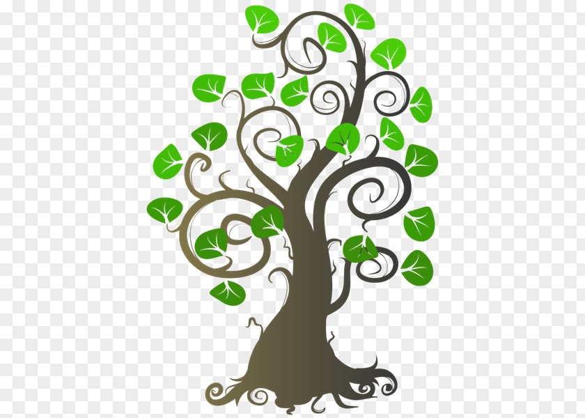 Family Tree Genealogy Ancestor Generation PNG