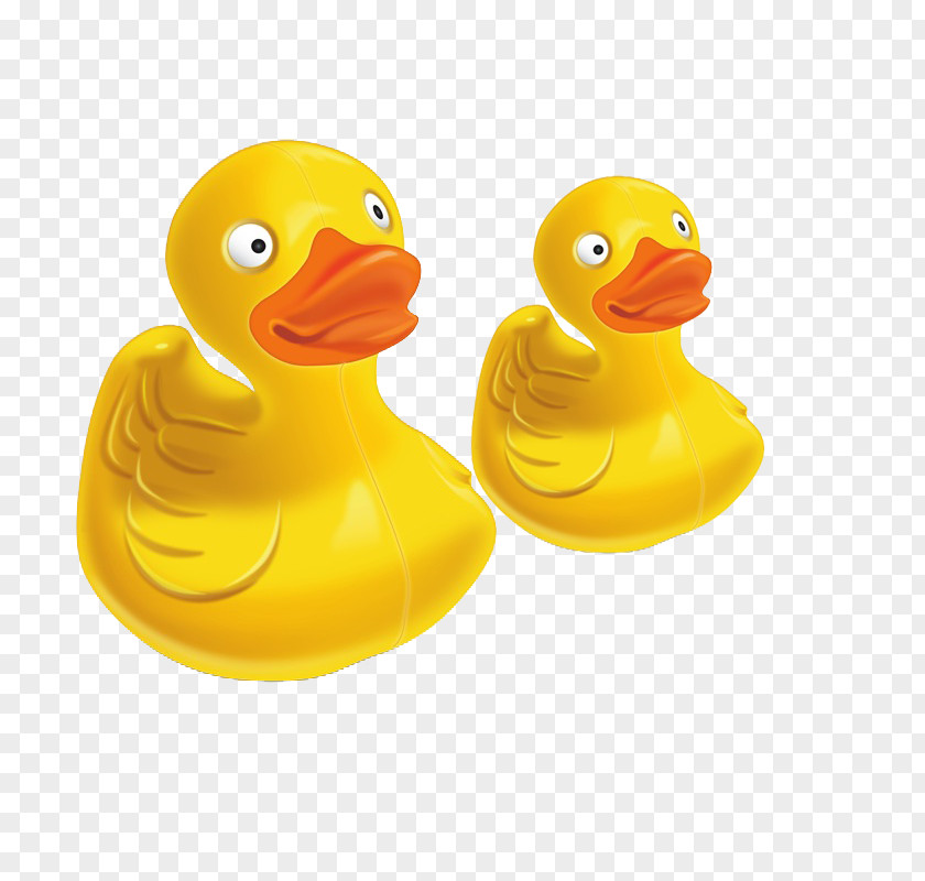 Golden Duck Cyberduck File Transfer Protocol MacOS WiX Property List PNG