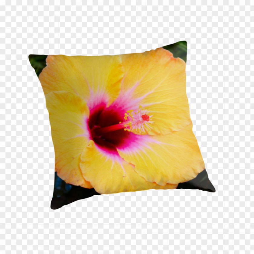 Pillow Rosemallows Cushion Throw Pillows PNG