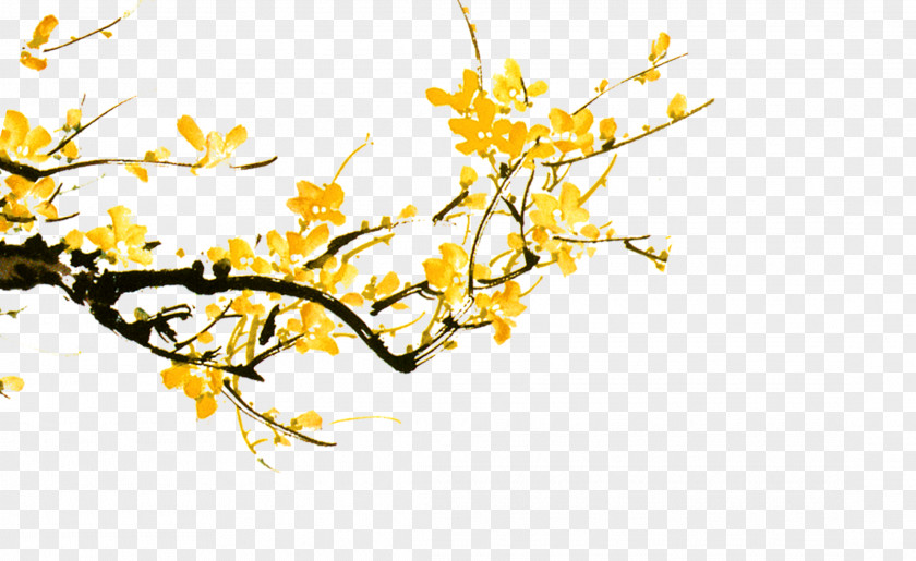 Yellow Flowers Branch PNG