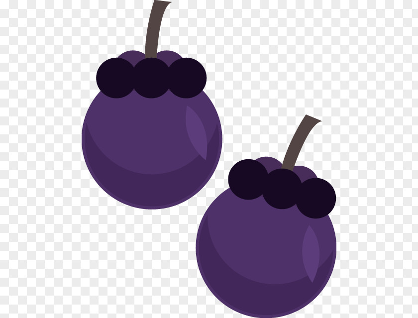 Blueberry Vector Material Fruit Euclidean PNG