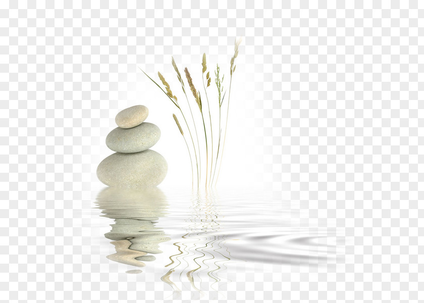 Zen Master Meditation Religion Mindfulness PNG