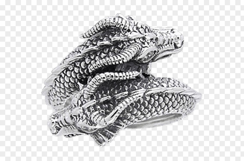 Jewellery Merlin Dinas Emrys Silver Ring PNG