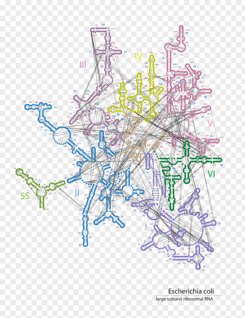 Line Drawing Map PNG