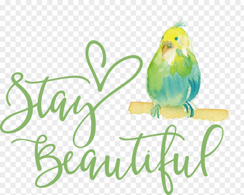 Stay Beautiful Fashion PNG