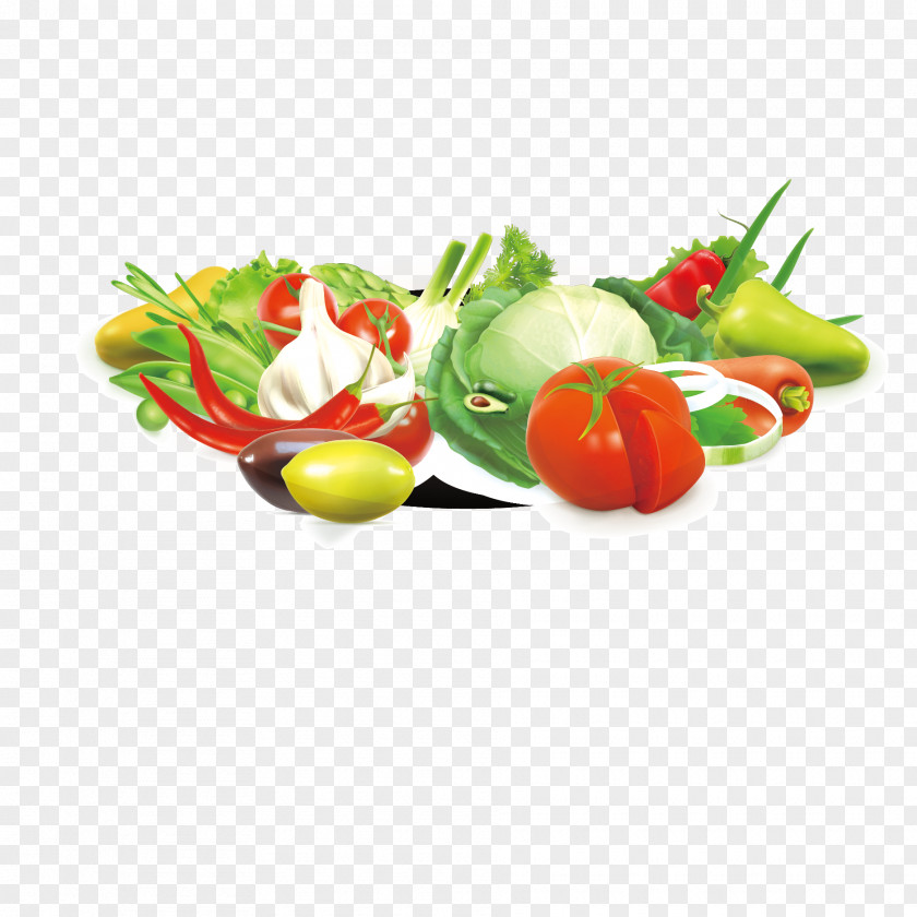 Vector Lifelike Vegetables Tomato Juice Leaf Vegetable Fruit PNG