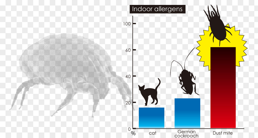 Dust Mites Cat House Mite Allergy PNG