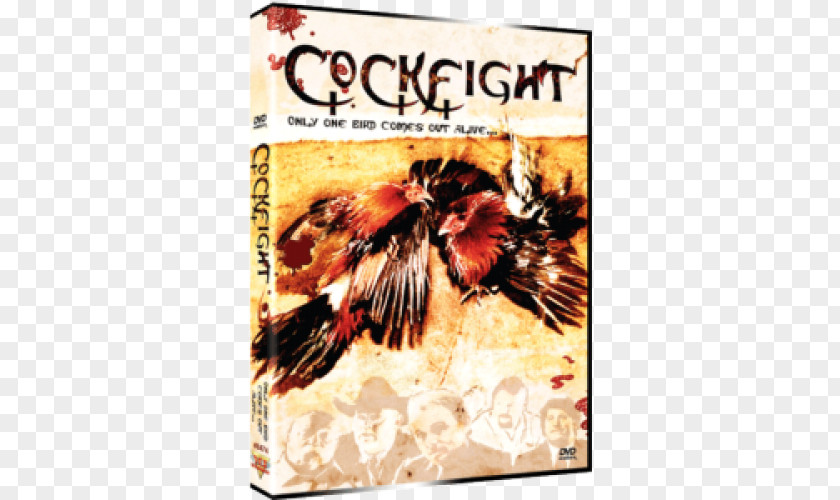 Dvd Professional Cockfighting Amazon.com Blu-ray Disc Film PNG