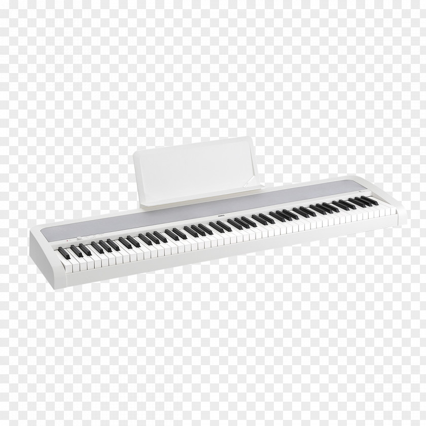 Electronic Piano Korg B1 Digital Musical Instruments PNG
