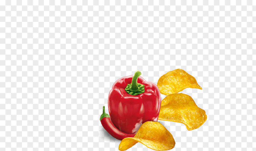 Pimenton Paprika Habanero Cayenne Pepper Bell Chili Vegetarian Cuisine PNG