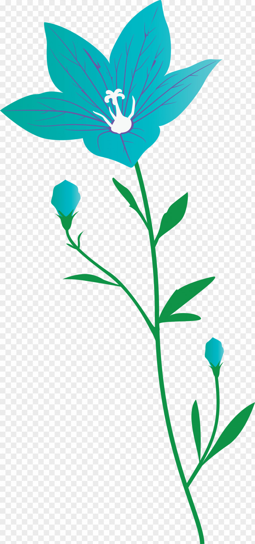 Balloon Flower PNG