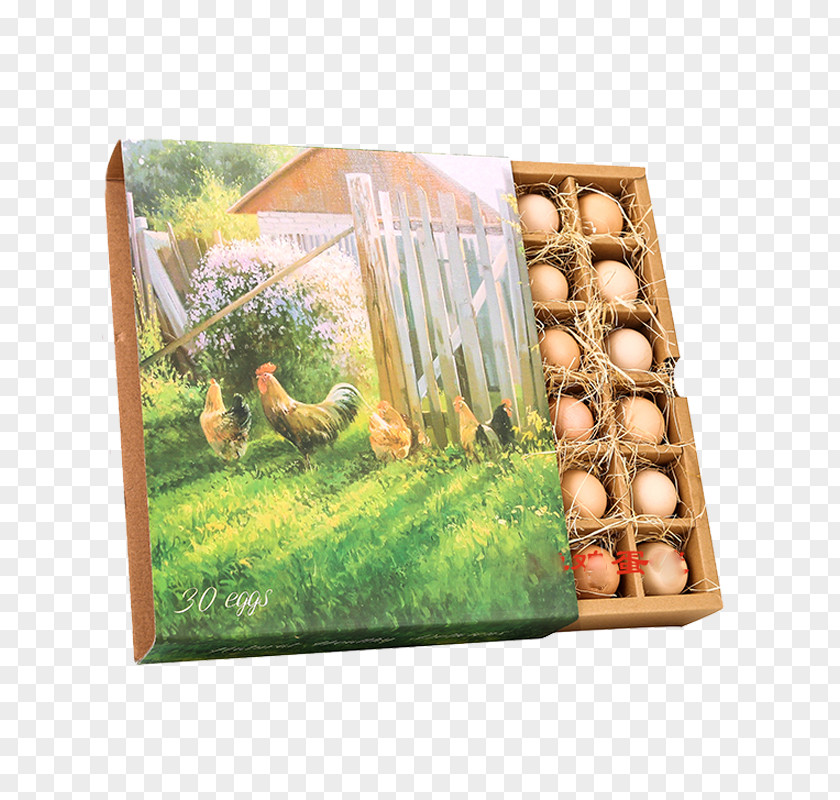 Boxed Egg Box Paper Packaging And Labeling Carton PNG