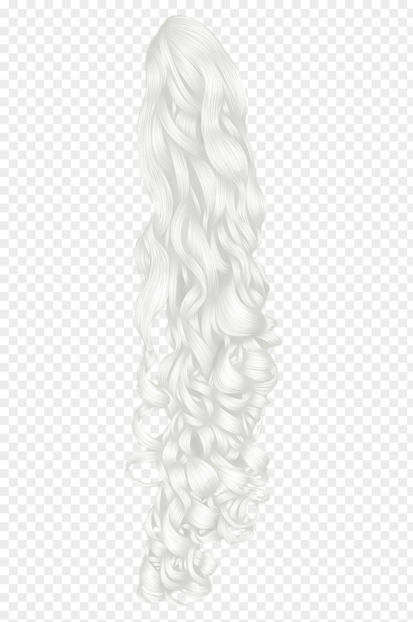 Curly Hair White Ponytail Canities PNG