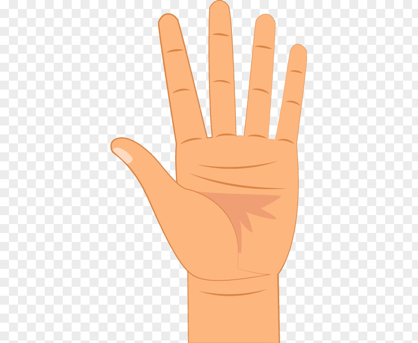 Granos En Los Dedos De La Mano Thumb Digit Hand Little Finger PNG