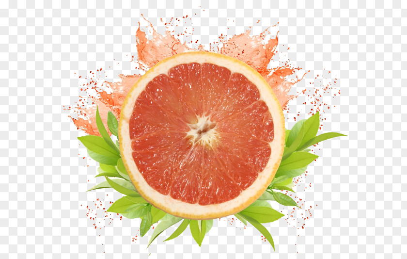 Grapefruit Fruit Decoration Free To Pull The Material Lip Balm Juice Cosmetics Gloss PNG