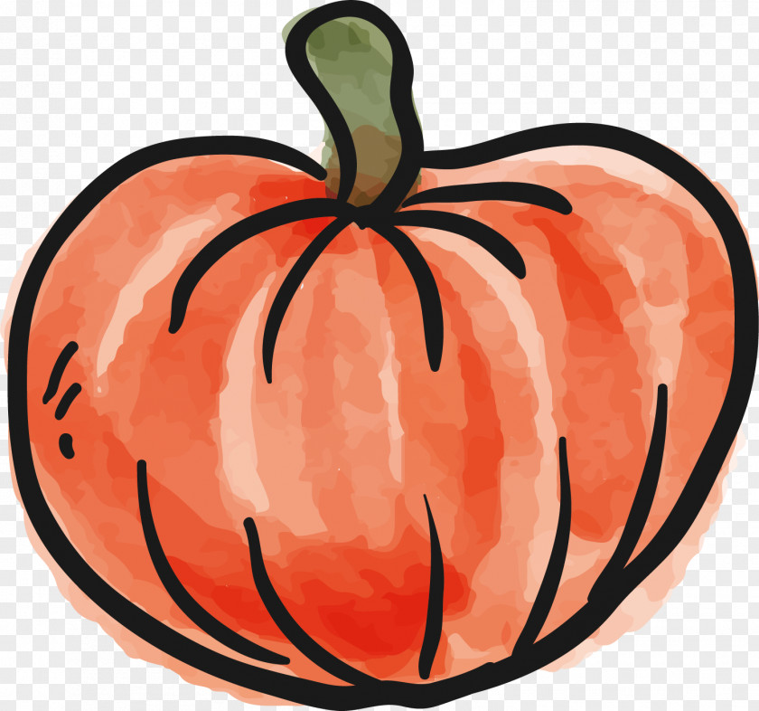 Kabocha Jack-o'-lantern Gourd Pumpkin Portable Network Graphics Image PNG