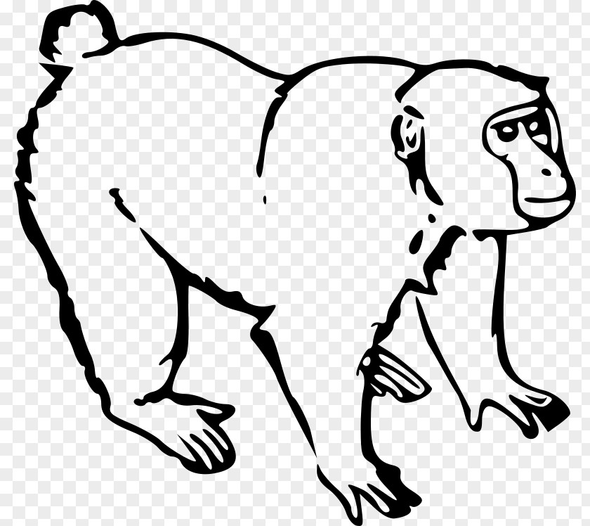 Monkey Ape Gorilla Clip Art PNG