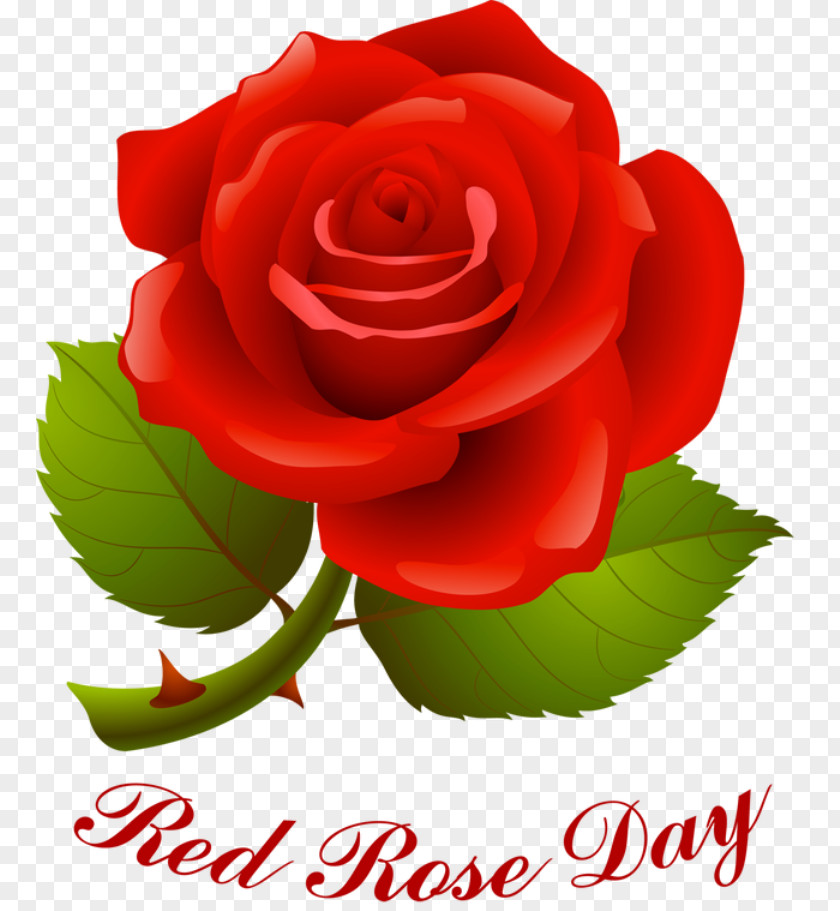 National Day Scatters Flowers Rose Valentine's Red Clip Art PNG