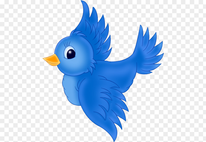 Songbird Parrot Bird PNG