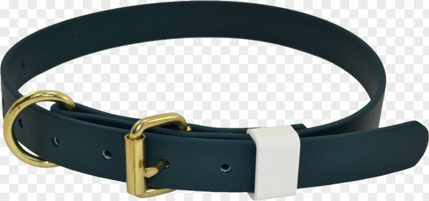 Dog Collar Fashion PNG