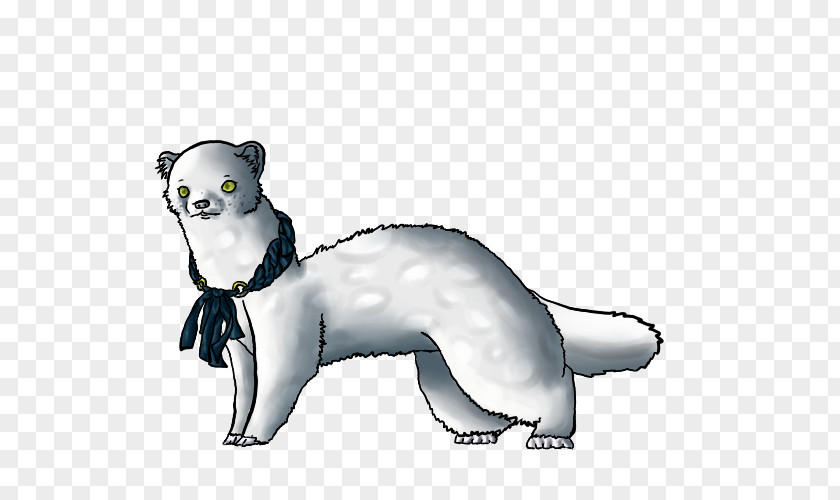 Ferret Whiskers Bear Cat Procyonidae PNG