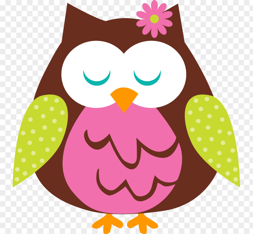 Owl Wall Decal Clip Art Sticker Borders And Frames PNG