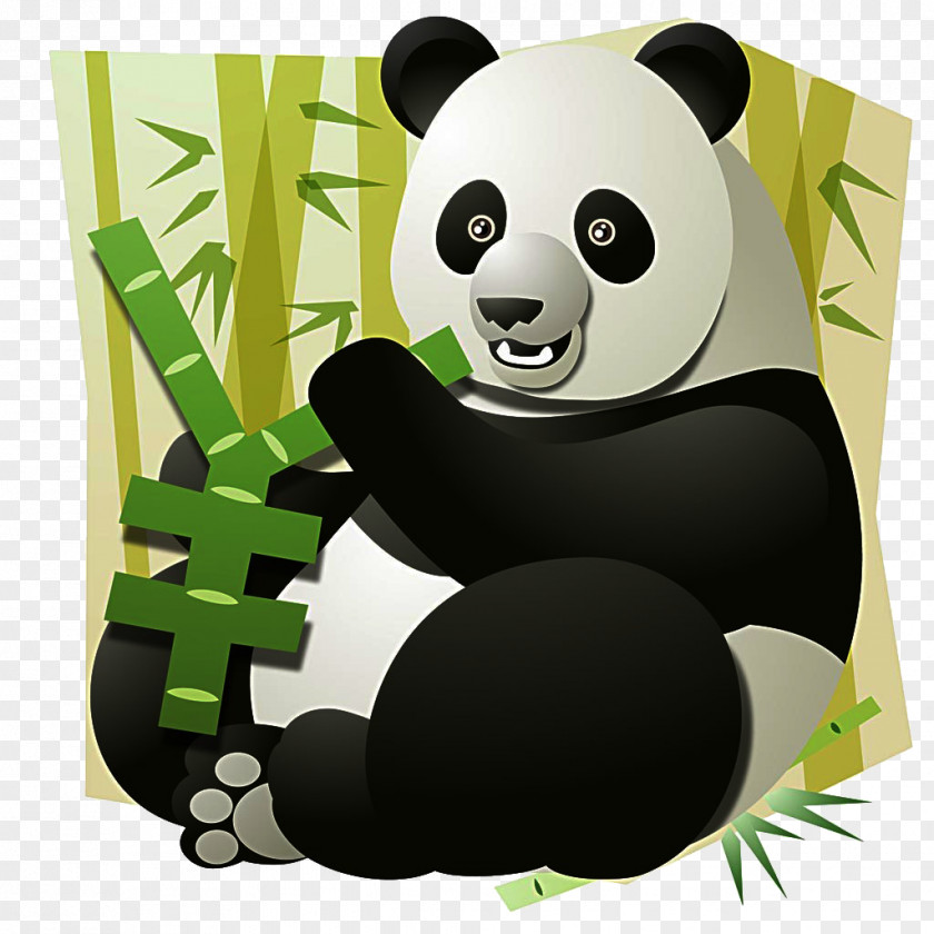 Panda Eat Bamboo Giant Bear Illustration PNG