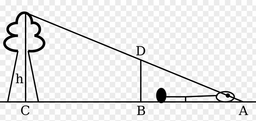 The Height Is Triangle Uses Of Trigonometry Point PNG