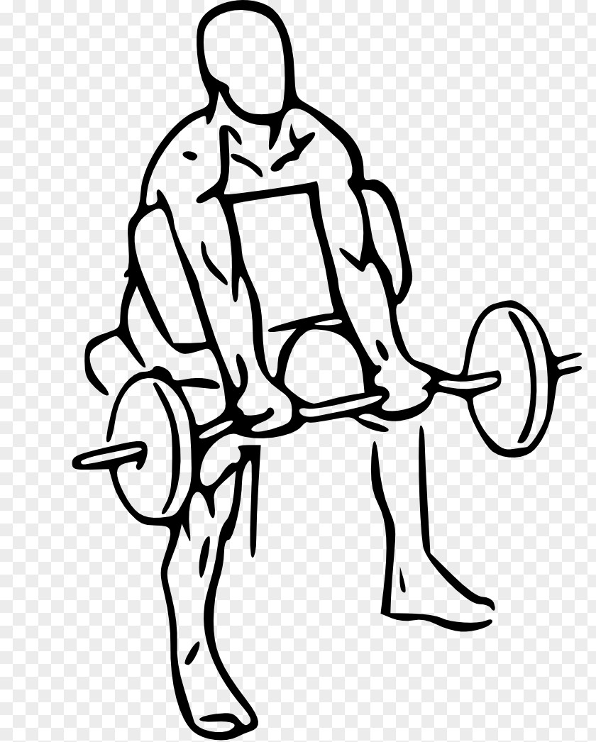 Title Bar Biceps Curl Bench Barbell Physical Exercise PNG