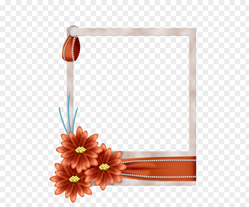Flower Picture Frames Blue Borders And PNG