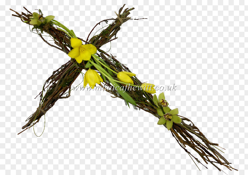 Funeral Monica F Hewitt Florist Ltd Twig Flower PNG