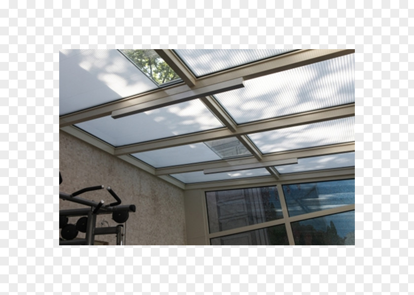 Glass Insulated Glazing Roof Pleated Blinds PNG
