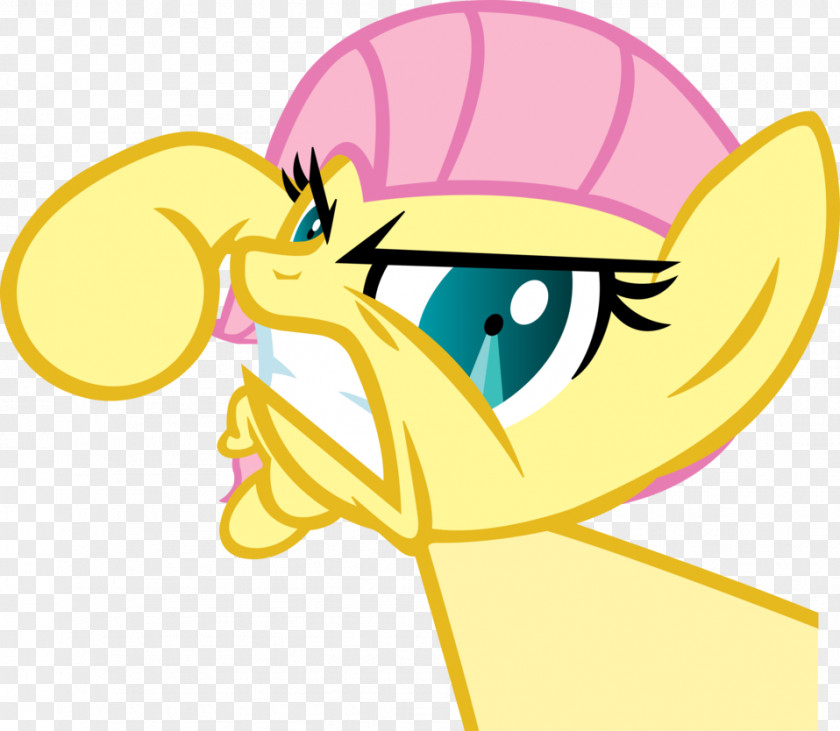 Rainbow Mane Fluttershy Pinkie Pie Dash Derpy Hooves Rarity PNG