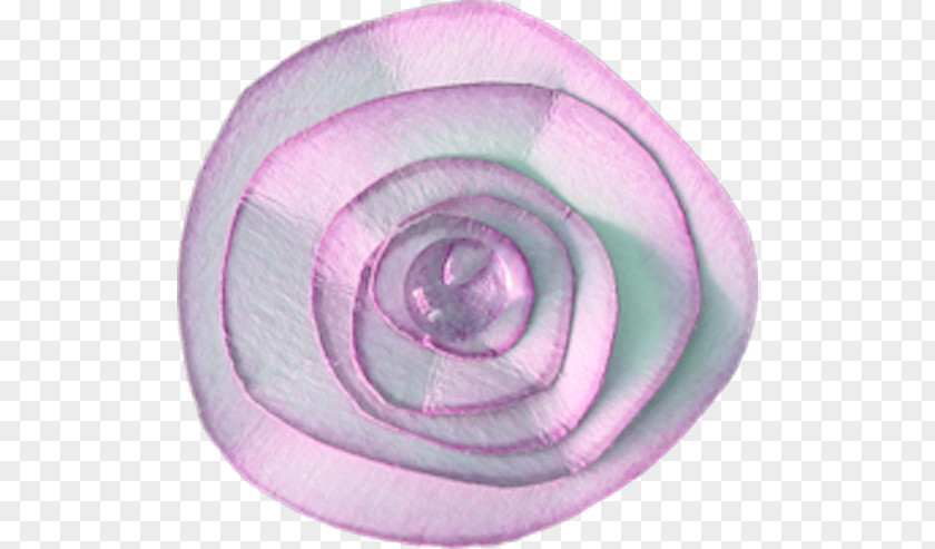 Circle Spiral PNG