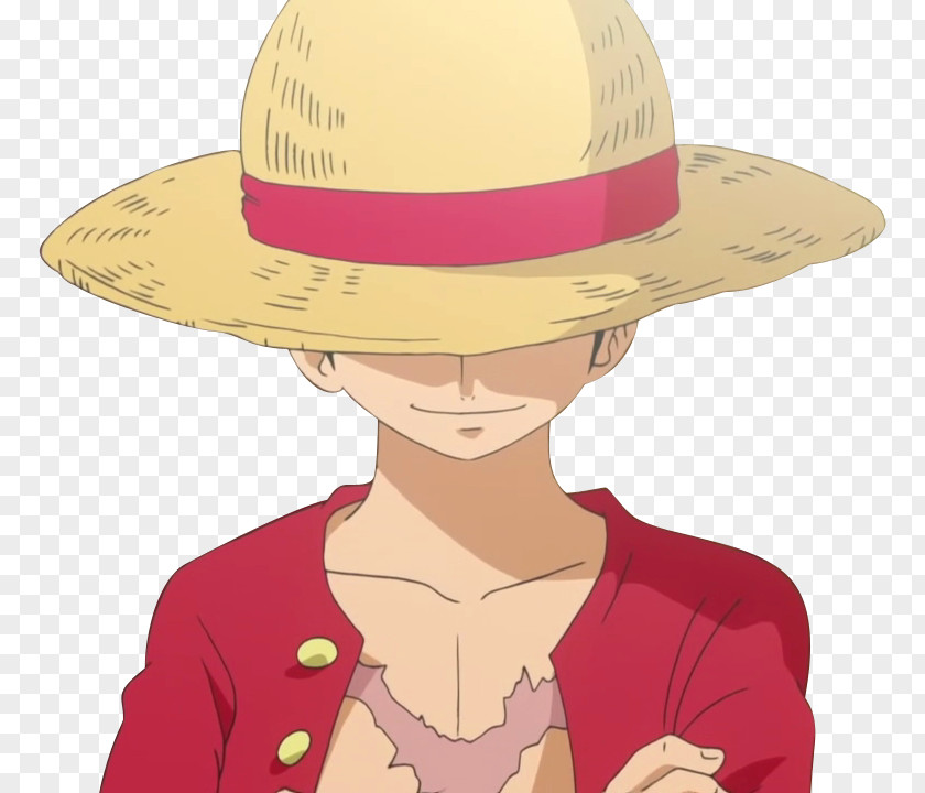 Gambar One Piece Luffy Monkey D. Roronoa Zoro Portgas Ace Vinsmoke Sanji PNG