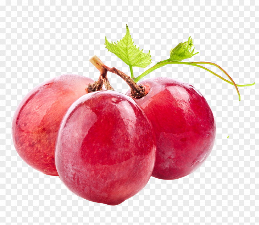 Grape Wine Common Vine Vitis Labrusca PNG