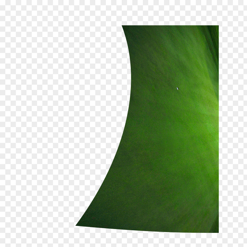 Green Lawn Grass Leaf PNG