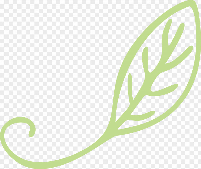 Logo Plant Stem Font Leaf Green PNG