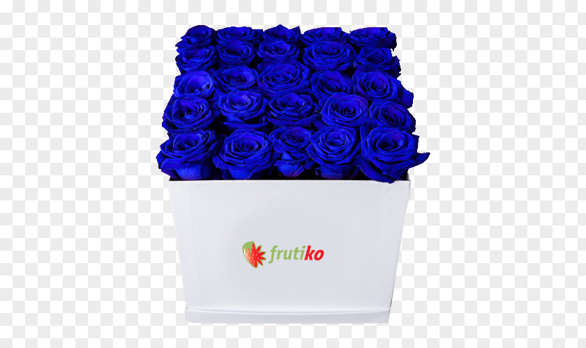 Rose Blue Garden Roses Cut Flowers Box PNG