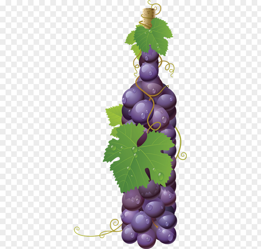 UVAS Common Grape Vine White Wine PNG