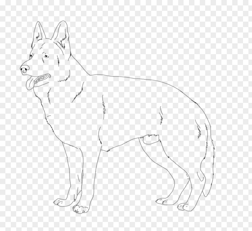 Dog Breed Line Art Whiskers Paw PNG