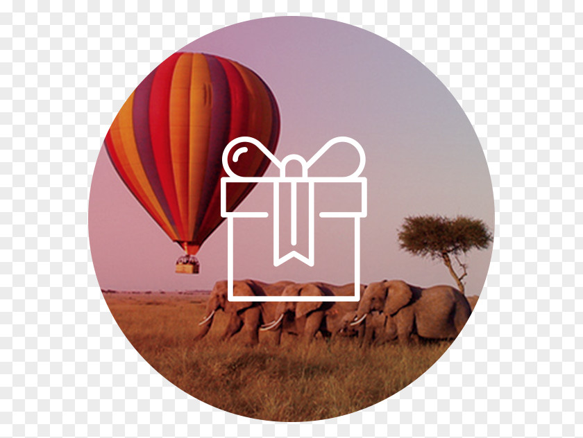 Travel Banner Ocoa Consulting Serengeti National Park Carrer De Manel Farrés Balloon Helicopter PNG